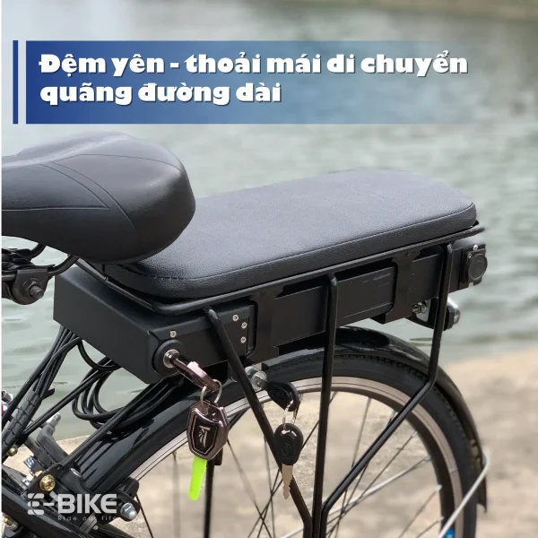 E-bike E-Motion 3000 20