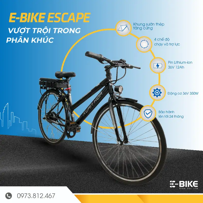 Xe đạp điện E-Motion 3000