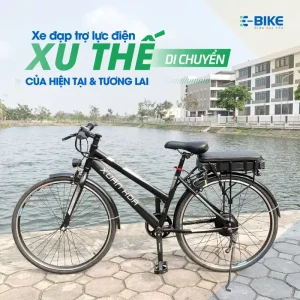 E-bike E-Motion 3000 (3)