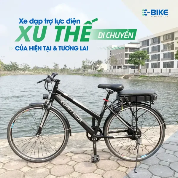 E-bike E-Motion 3000 (3)