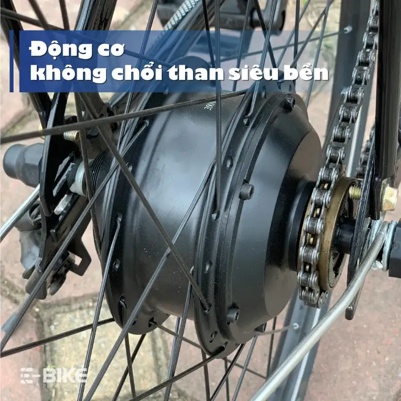 E-bike E-Motion 3000 19 Động cơ chổi than siêu bền