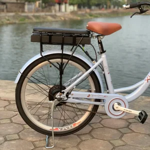 RapidX City 2000 – Xe có 2 phiên bản màu hồng và xanh, Xe có 2 phiên bản màu hồng và xanh