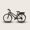 Xe đạp E-Motion 3000
