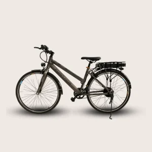 Xe đạp E-Motion 3000