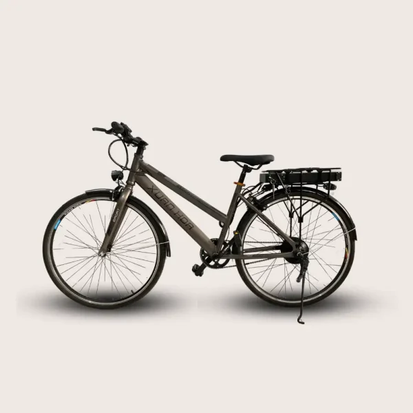 Xe đạp E-Motion 3000