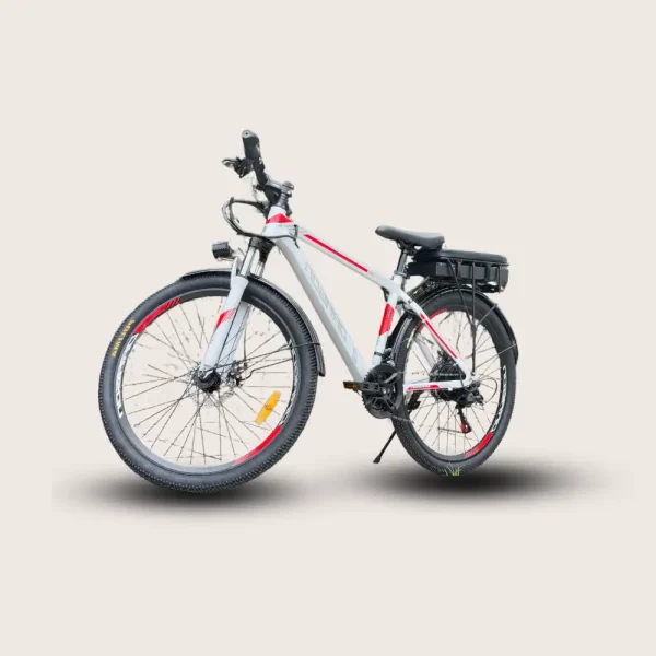 Xe đạp RapidX - DRAGON bìa