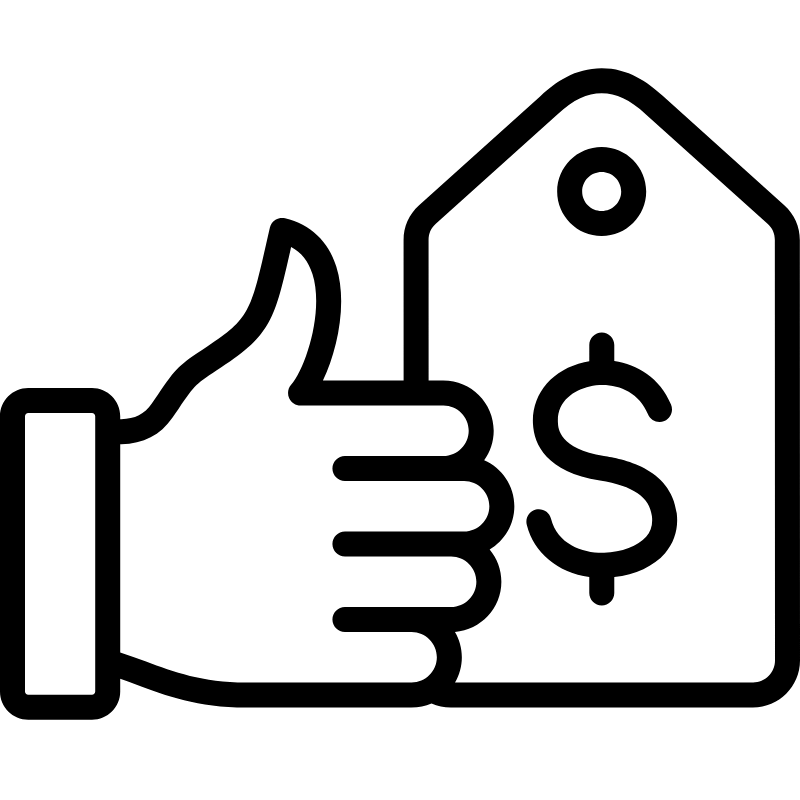 icon RapidX (3)