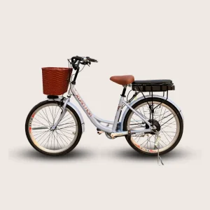 xe đap RapidX City 2000 bìa