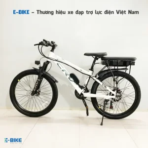 RapidX – CRV