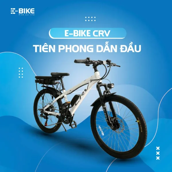 RapidX – CRV