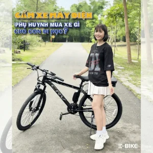 RapidX – CRV
