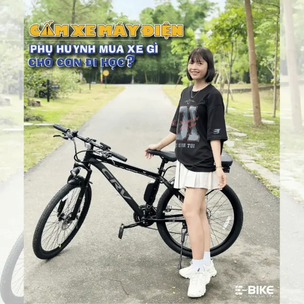 RapidX – CRV